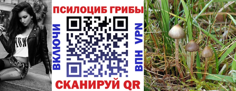Галлюциногенные грибы мухоморы  купить наркотик  Томск 